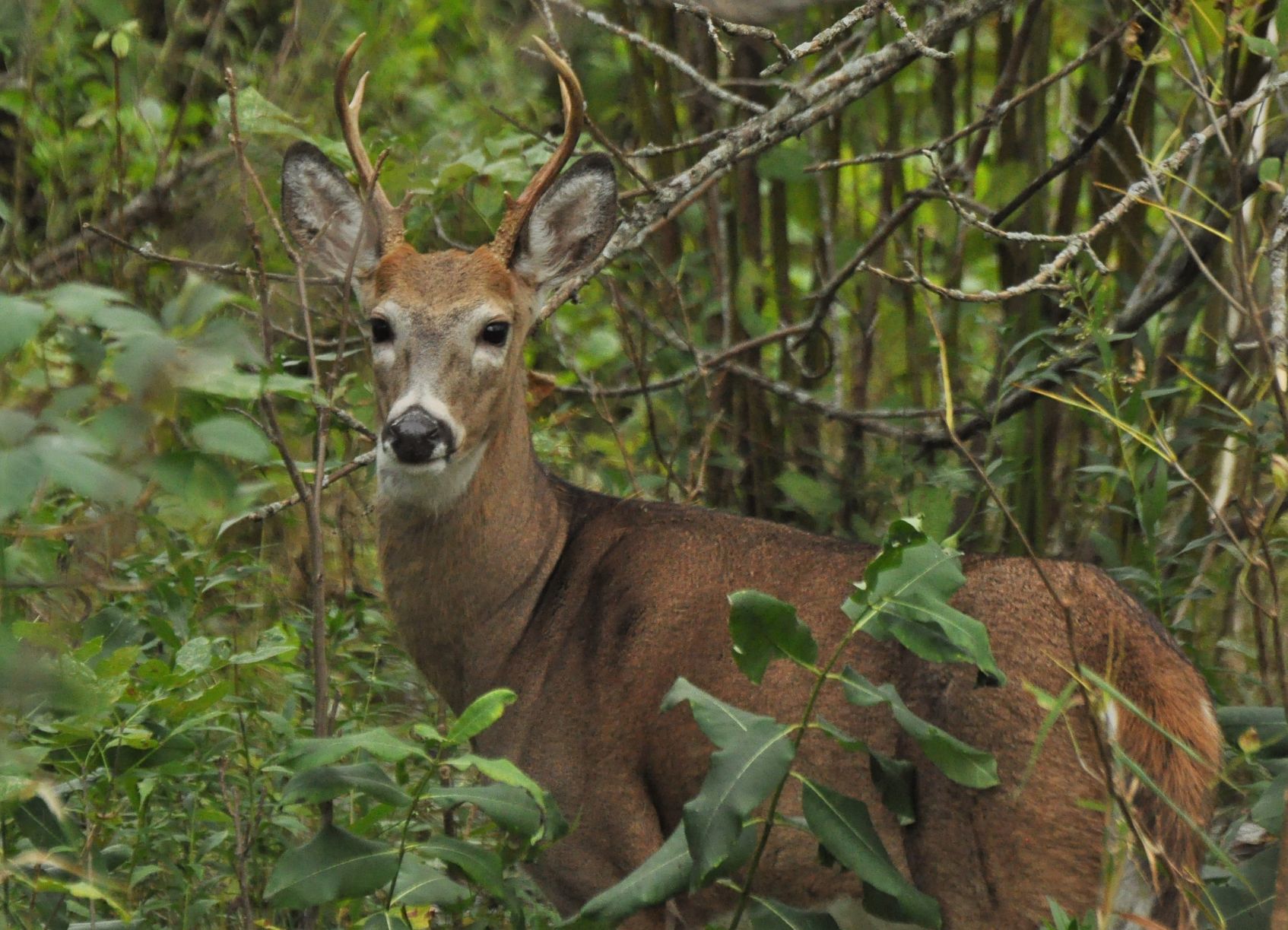 Washburn Outdoors